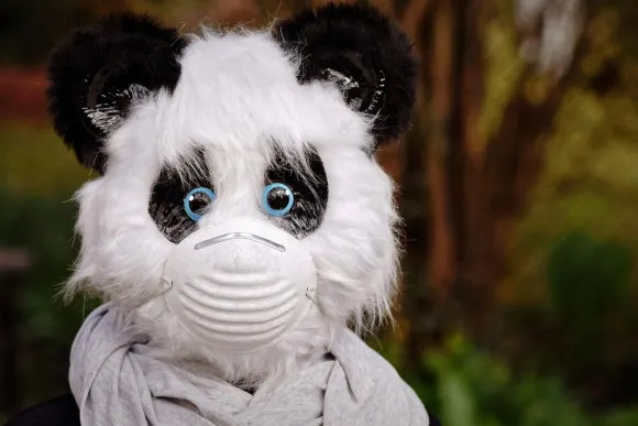 SpinShake Casino Support